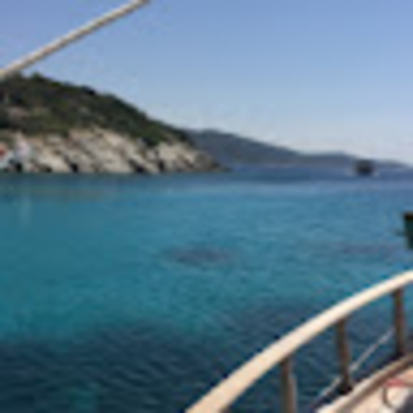 Meet your Posher, Sarah - Picture 1 of 1